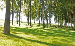 Firmenvideo - Tischlerei Obruca